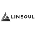 Linsoul K